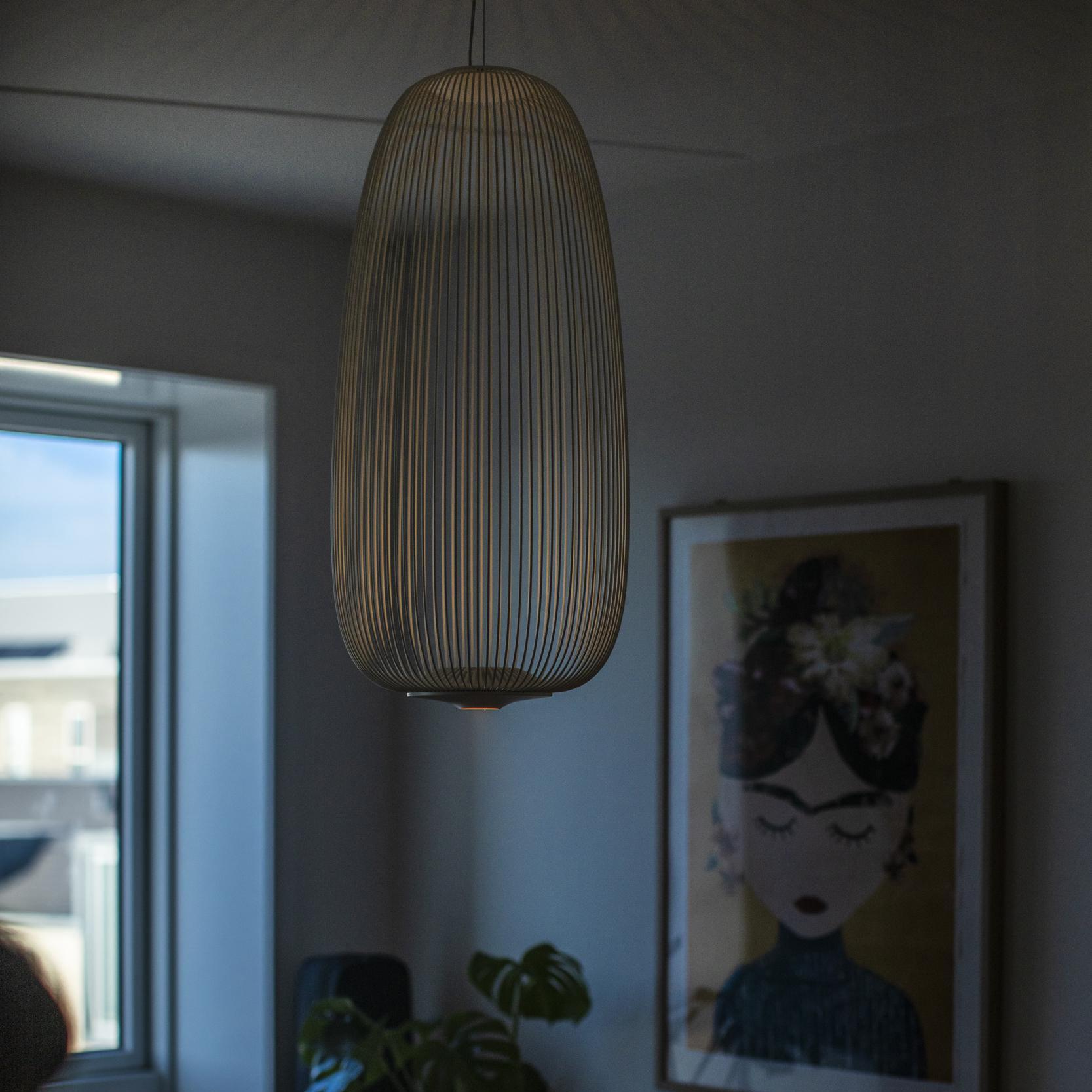 Enloria Cage Hanglamp