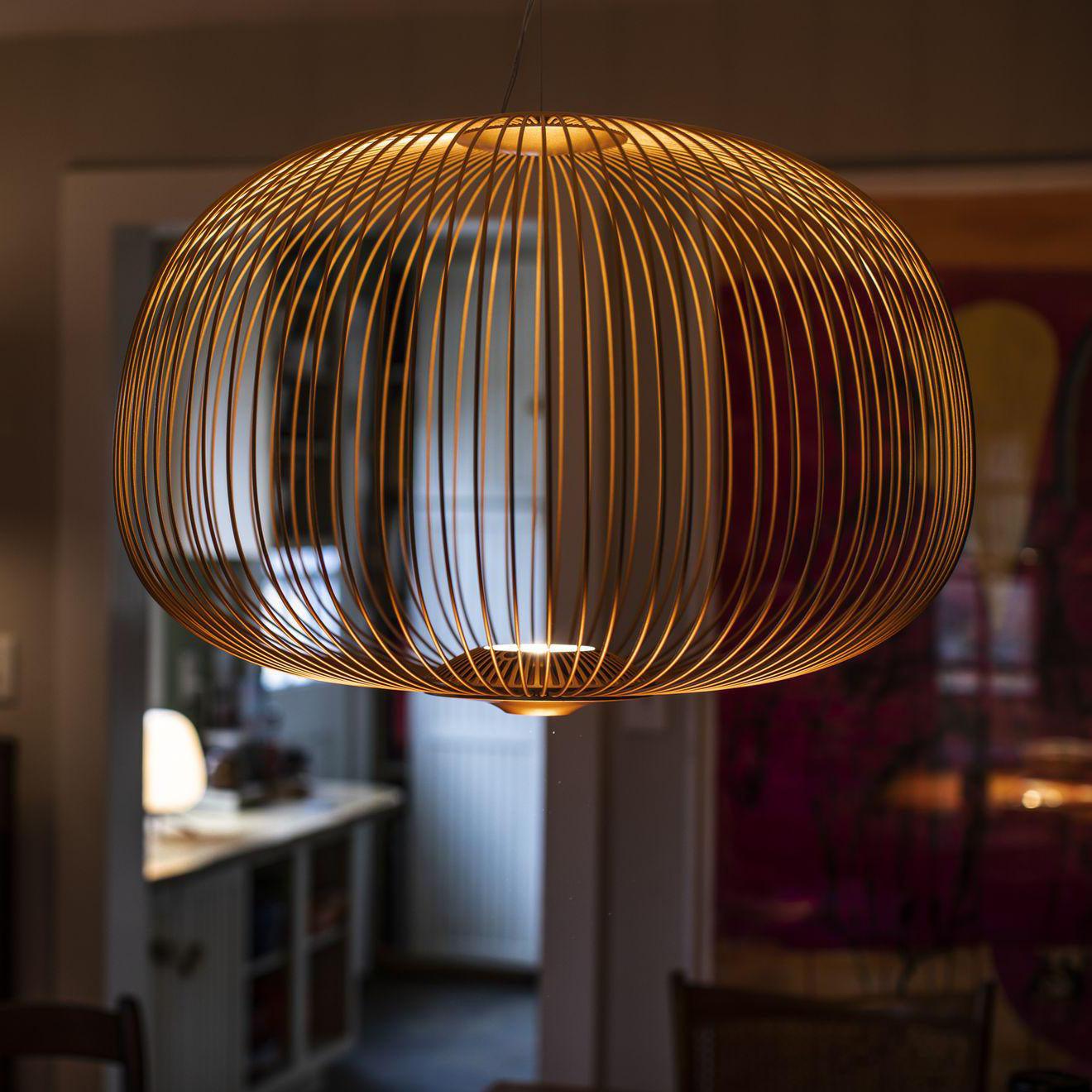 Enloria Cage Hanglamp