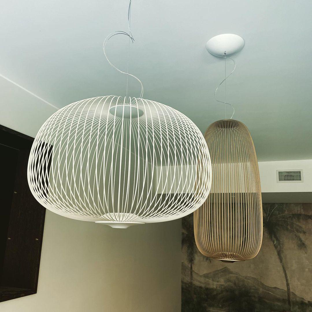 Enloria Cage Hanglamp