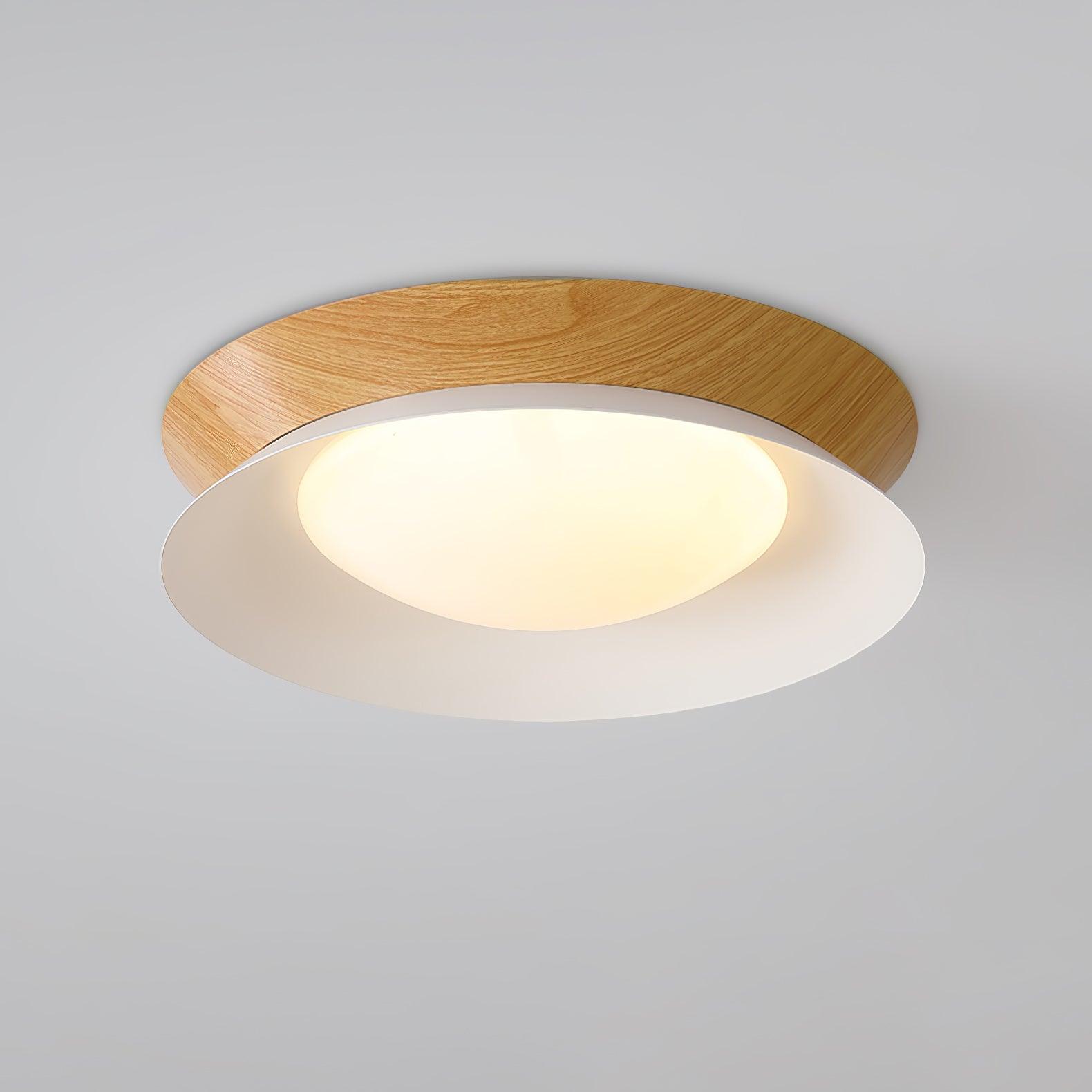 Solani Plafondlamp