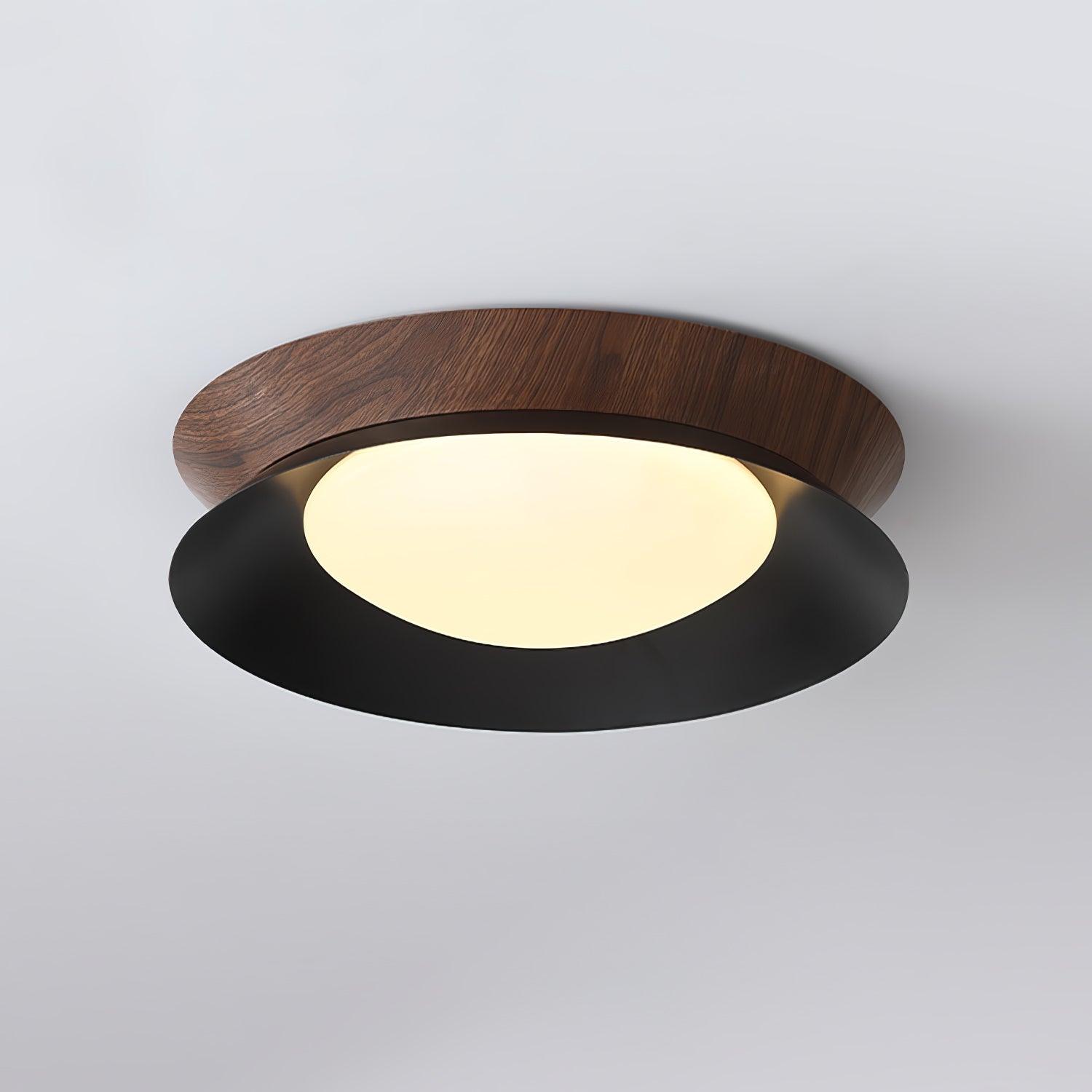 Solani Plafondlamp