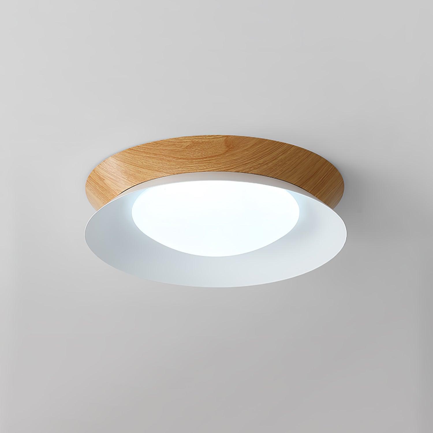 Solani Plafondlamp