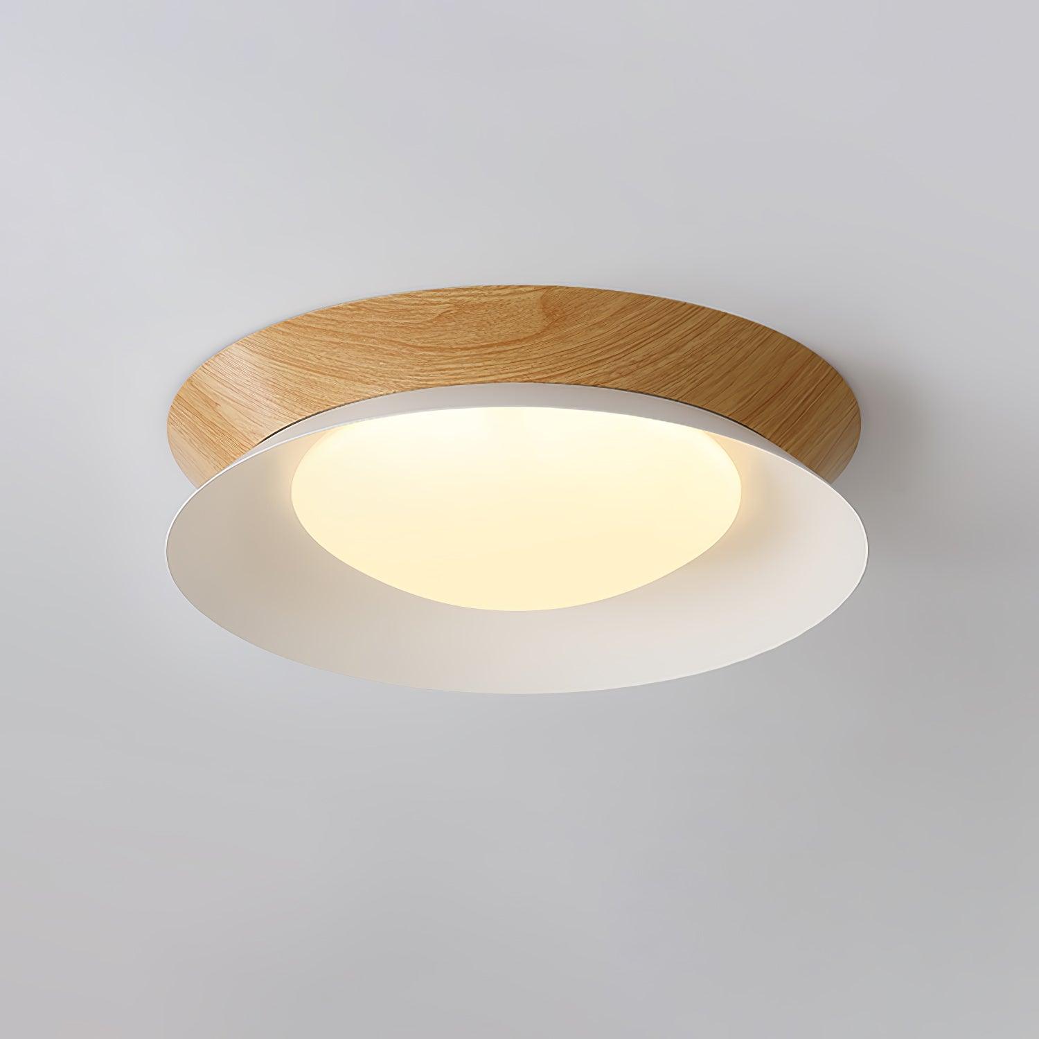 Solani Plafondlamp