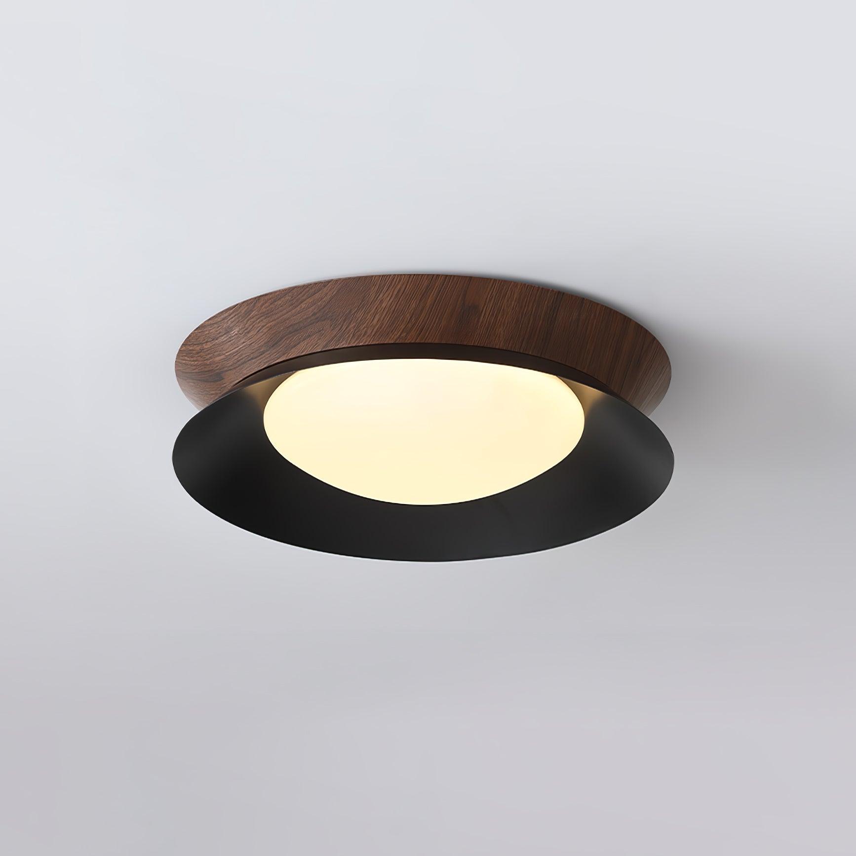 Solani Plafondlamp