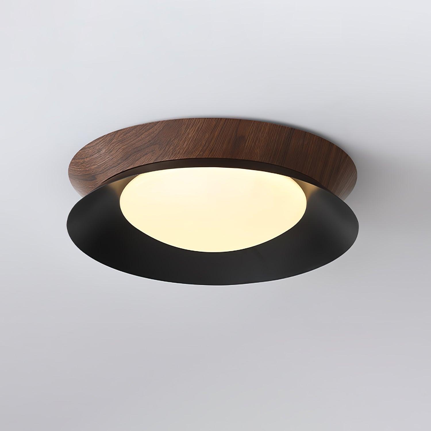 Solani Plafondlamp