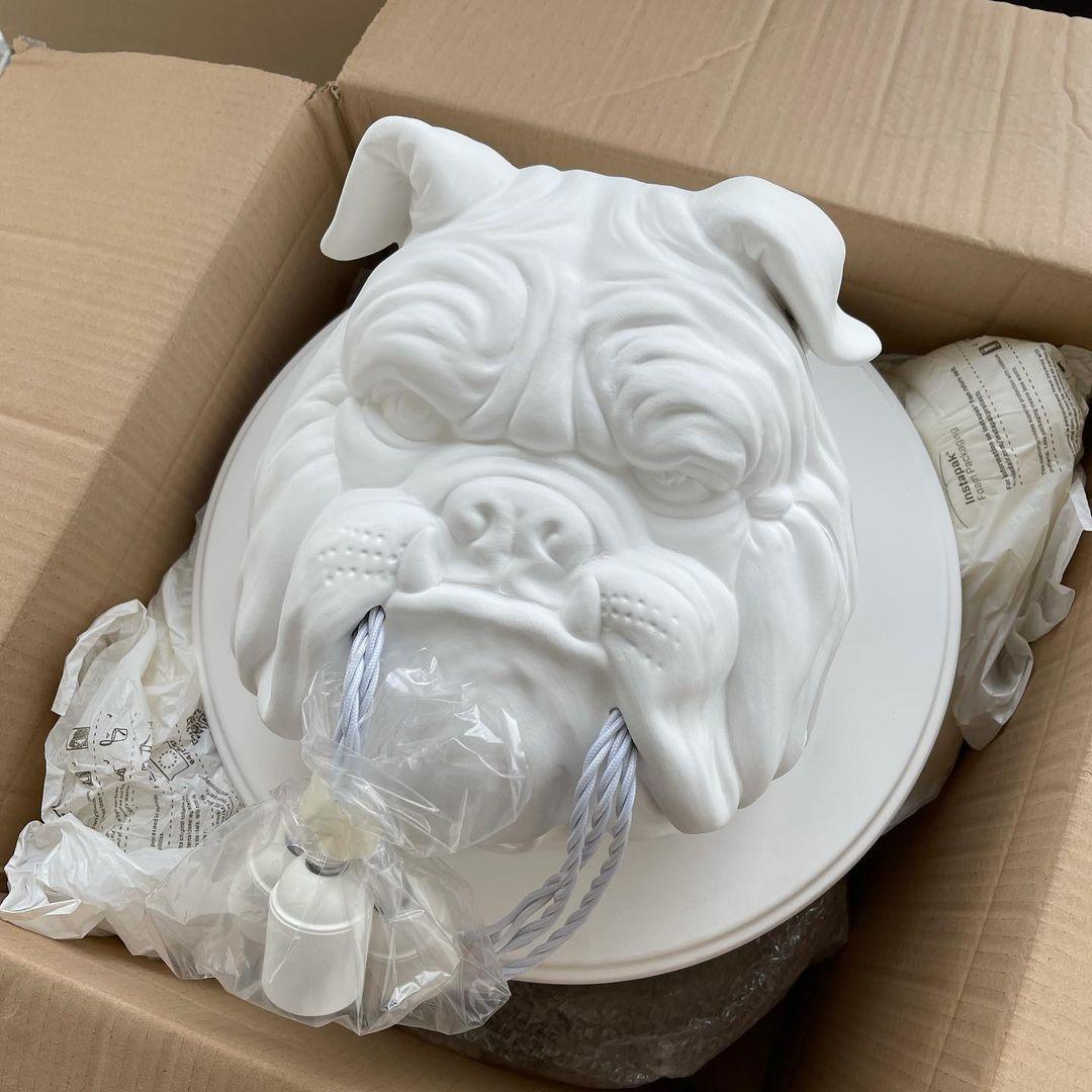 Bulldog Wandlamp
