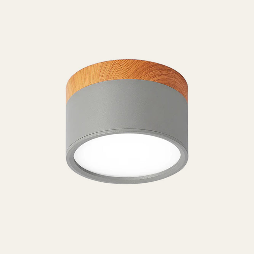 Cylinder Kleine Plafondlamp