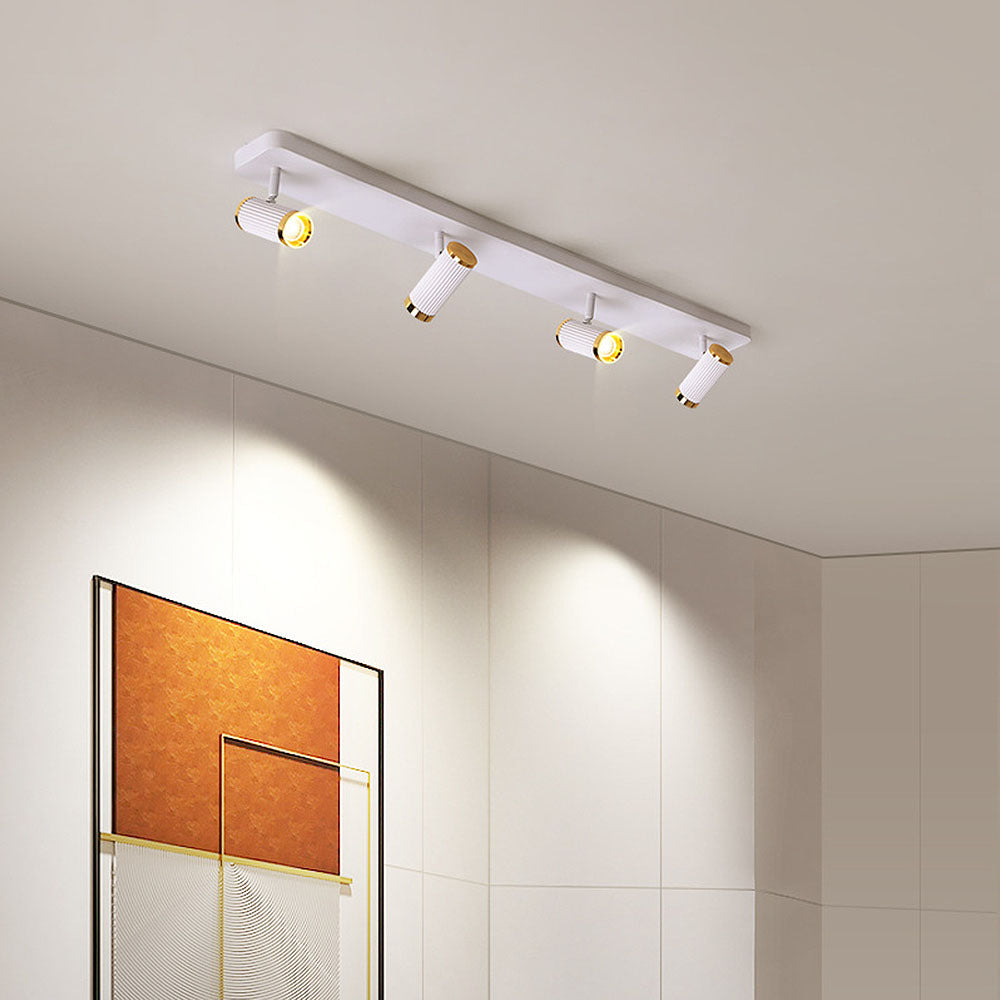 Celzilo Plafondlamp