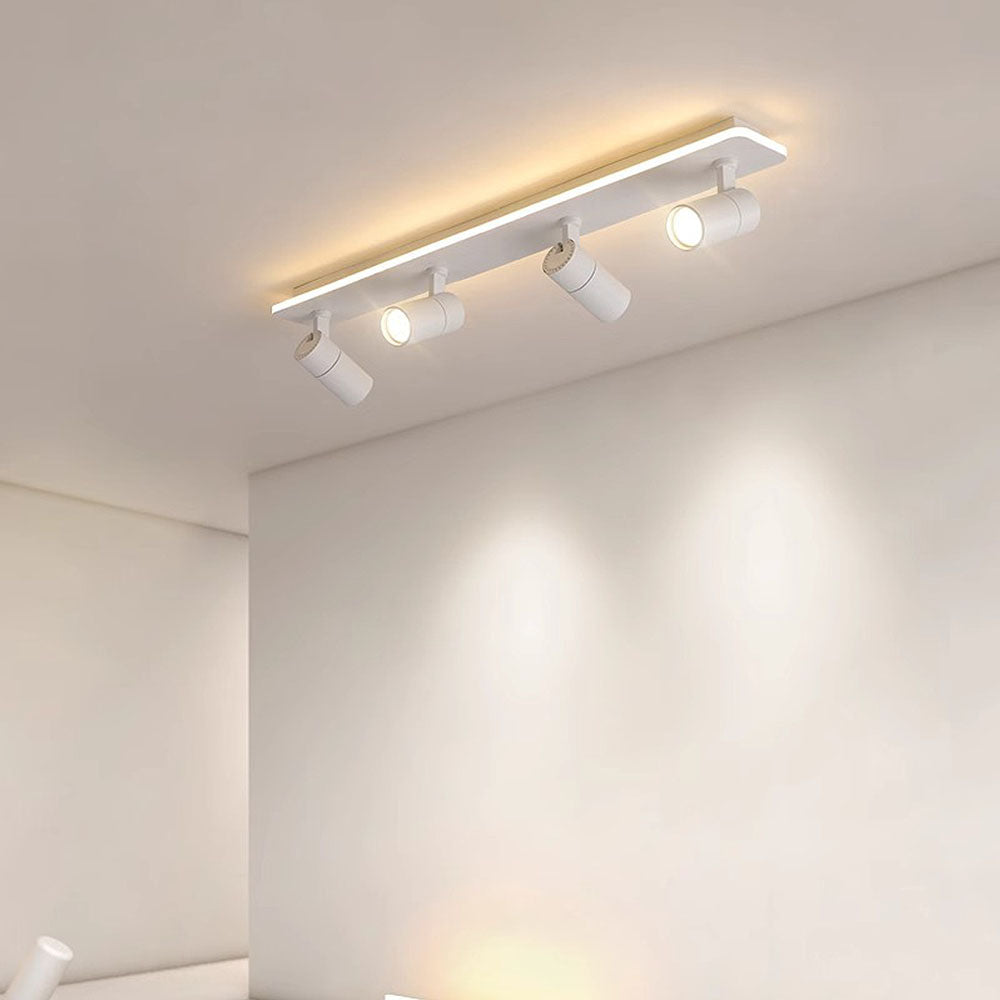 Triccon Plafondlamp