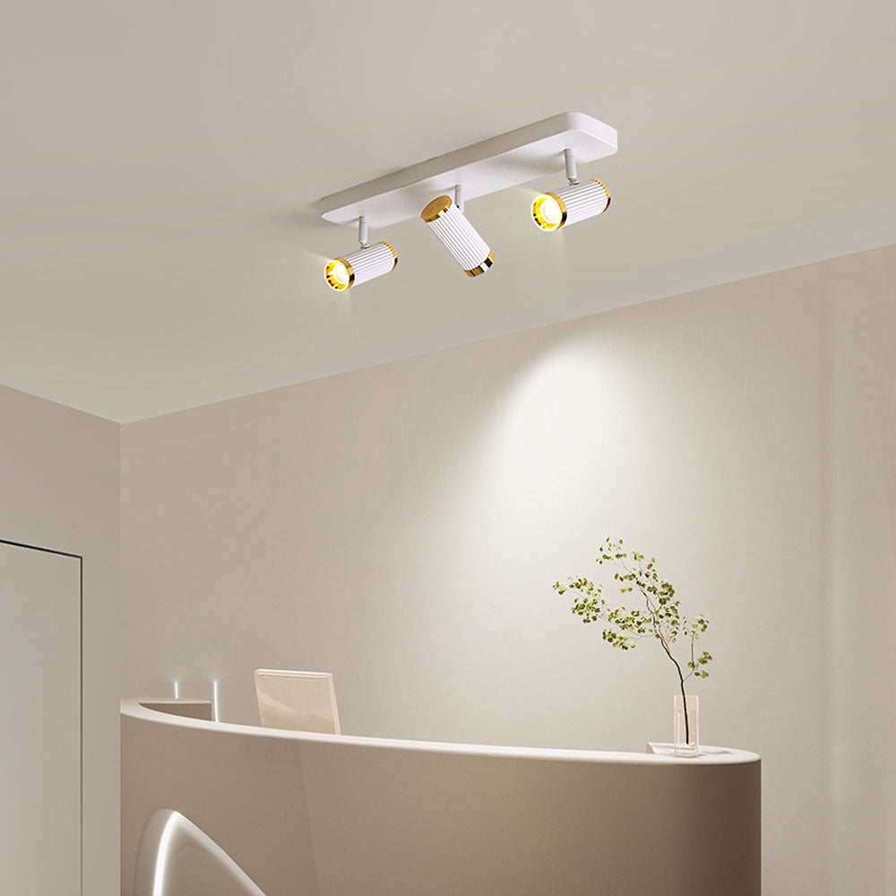 Celzilo Plafondlamp