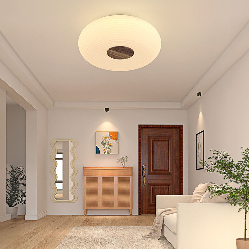 Papulon Plafondlamp