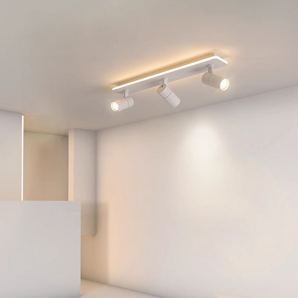 Triccon Plafondlamp