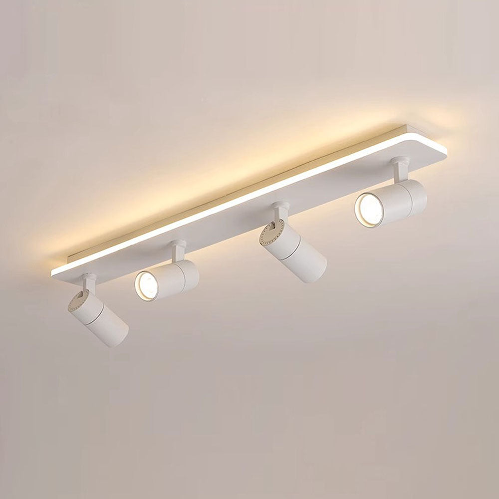 Triccon Plafondlamp