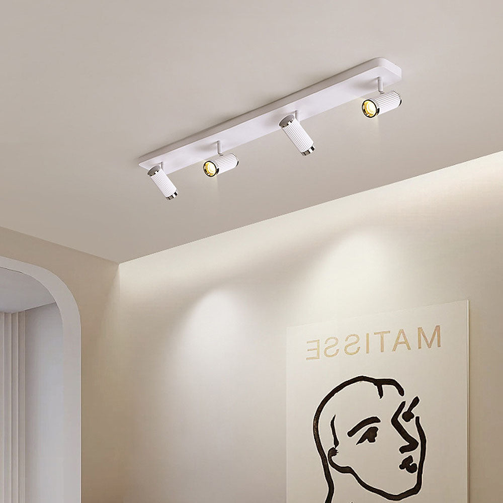 Celzilo Plafondlamp