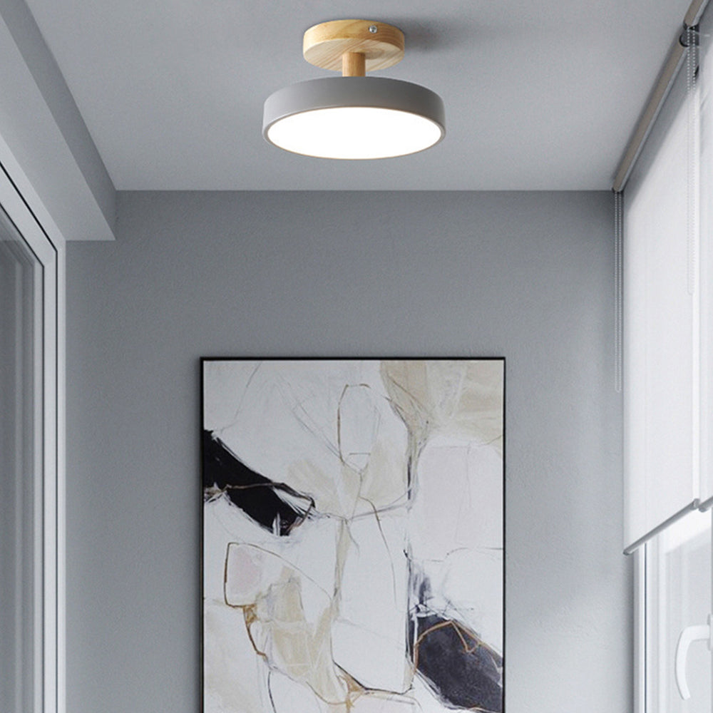 Pedol Plafondlamp