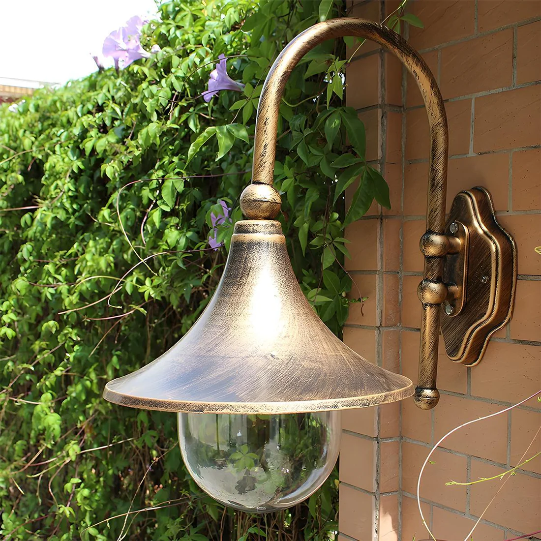 Conceva Lantaarn Outdoor Wandlamp