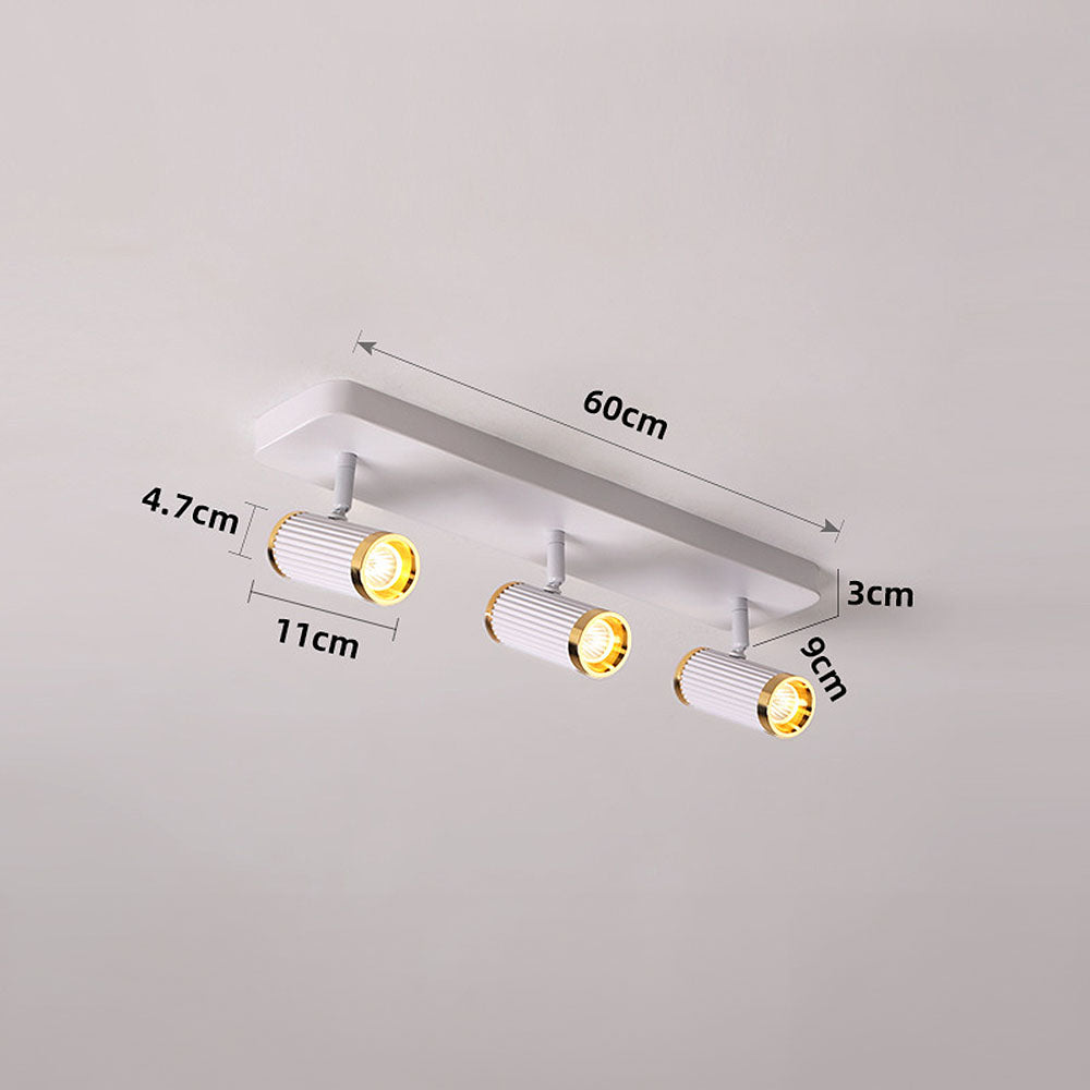 Celzilo Plafondlamp