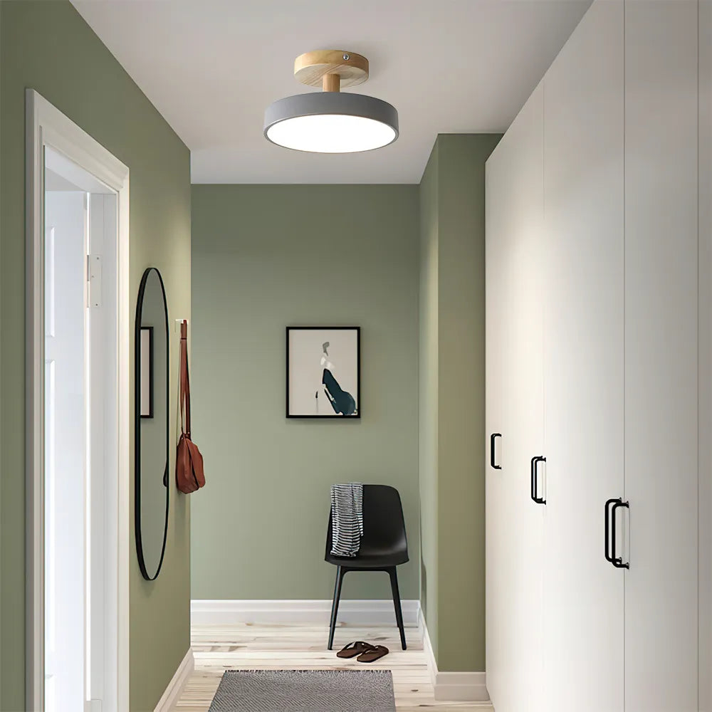 Pedol Plafondlamp