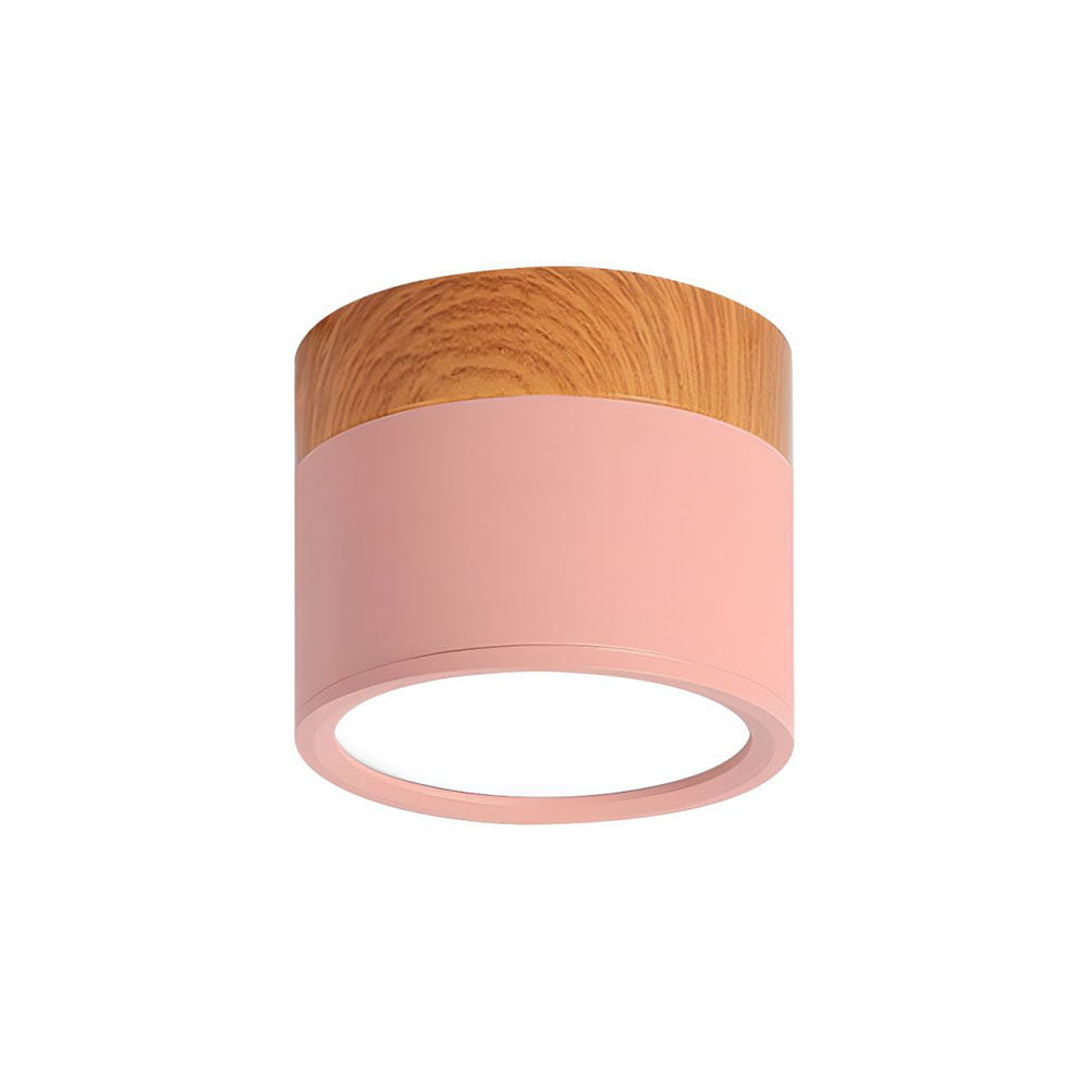 Cylinder Kleine Plafondlamp
