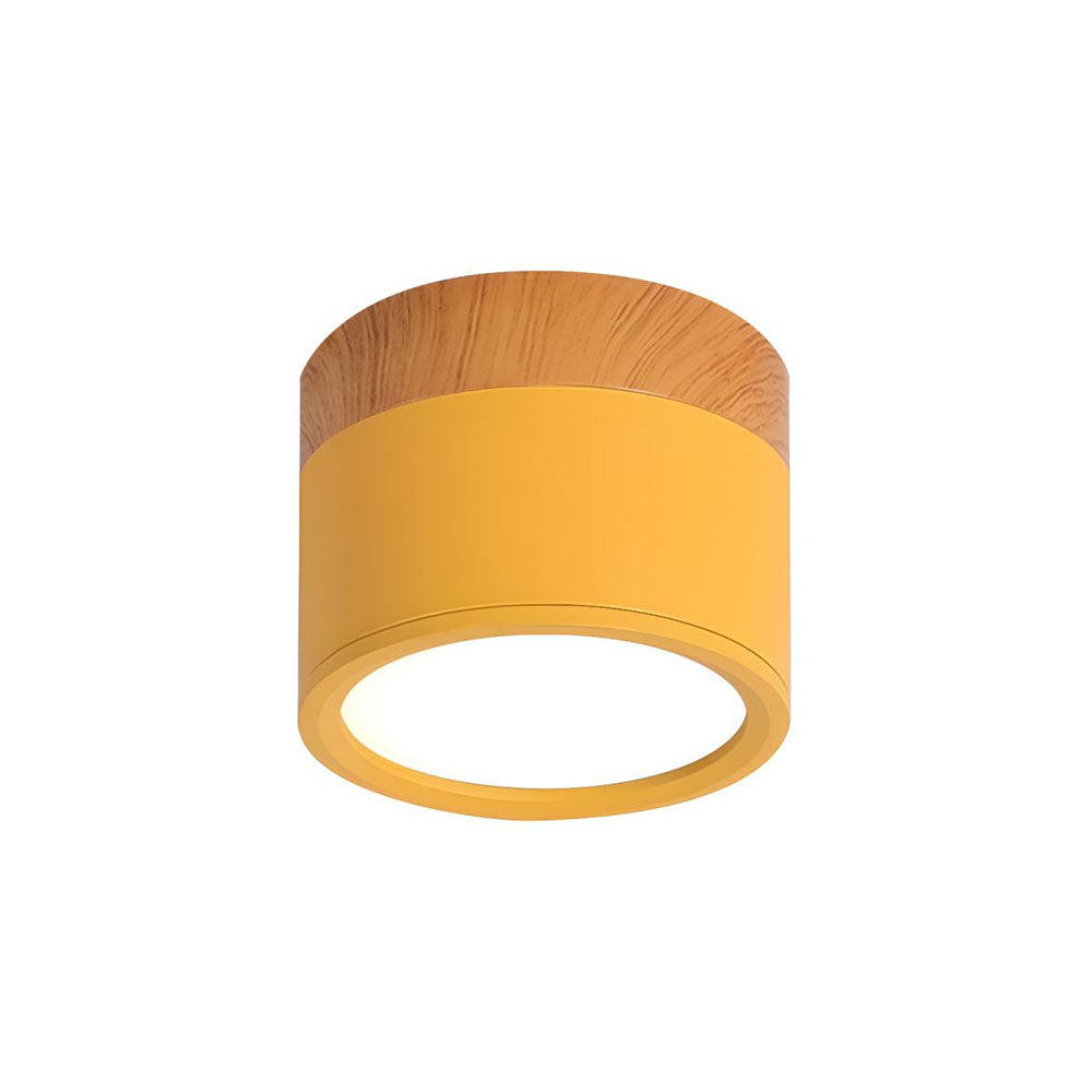 Cylinder Kleine Plafondlamp