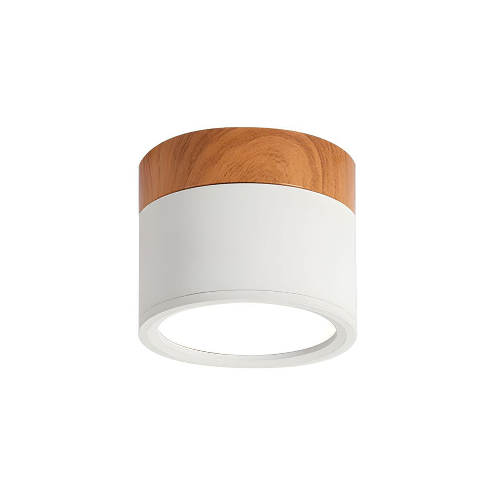 Cylinder Kleine Plafondlamp