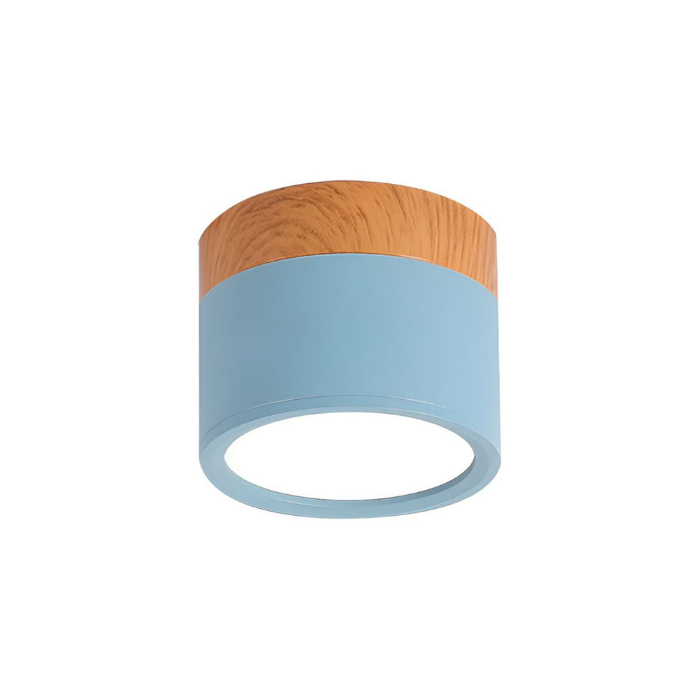 Cylinder Kleine Plafondlamp
