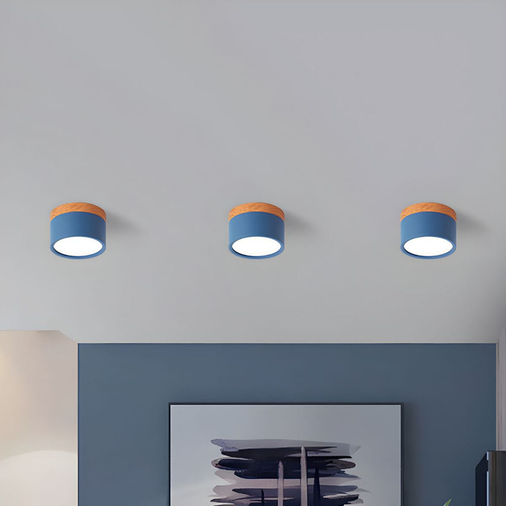Cylinder Kleine Plafondlamp