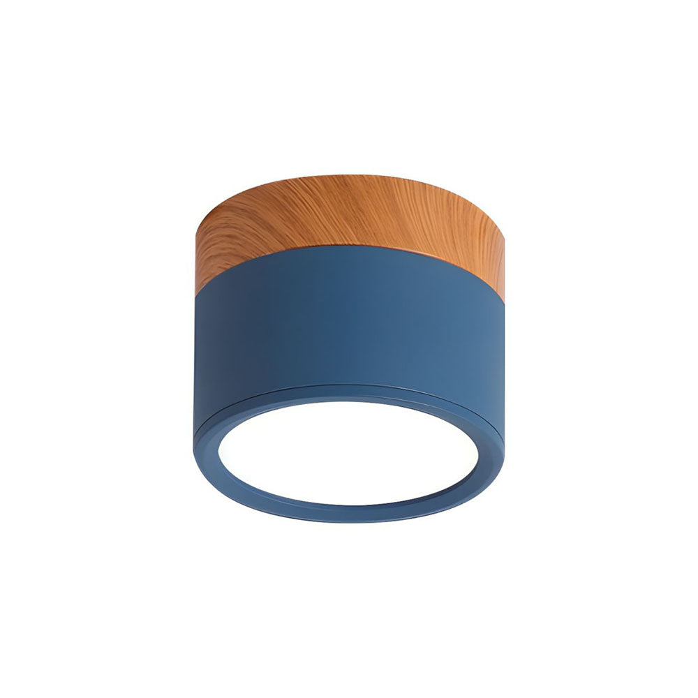Cylinder Kleine Plafondlamp