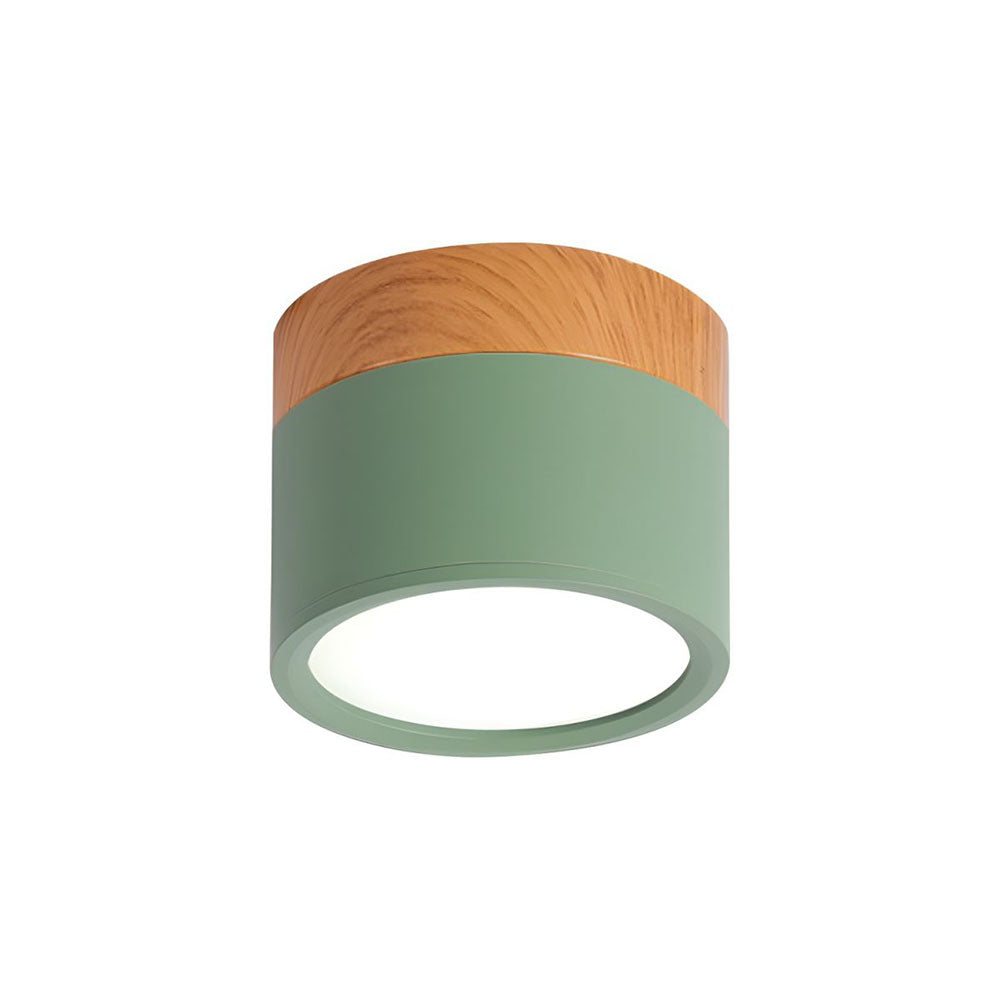 Cylinder Kleine Plafondlamp