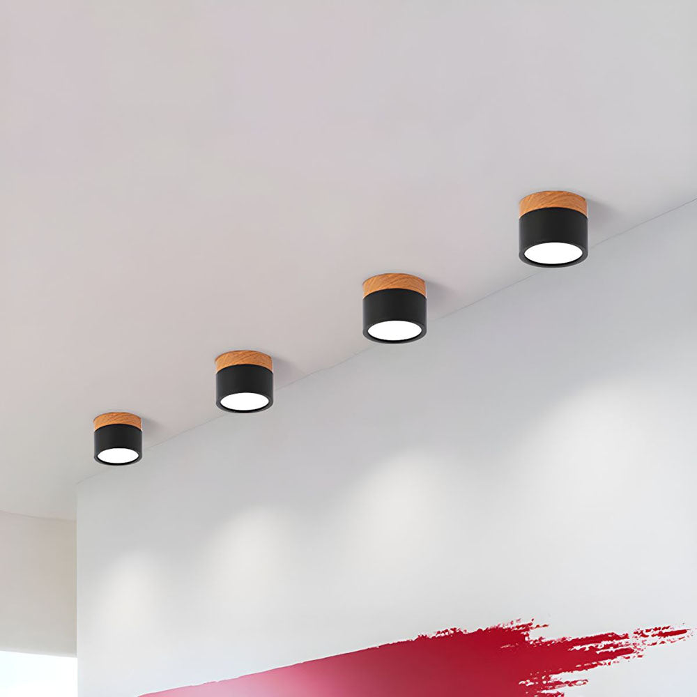Cylinder Kleine Plafondlamp