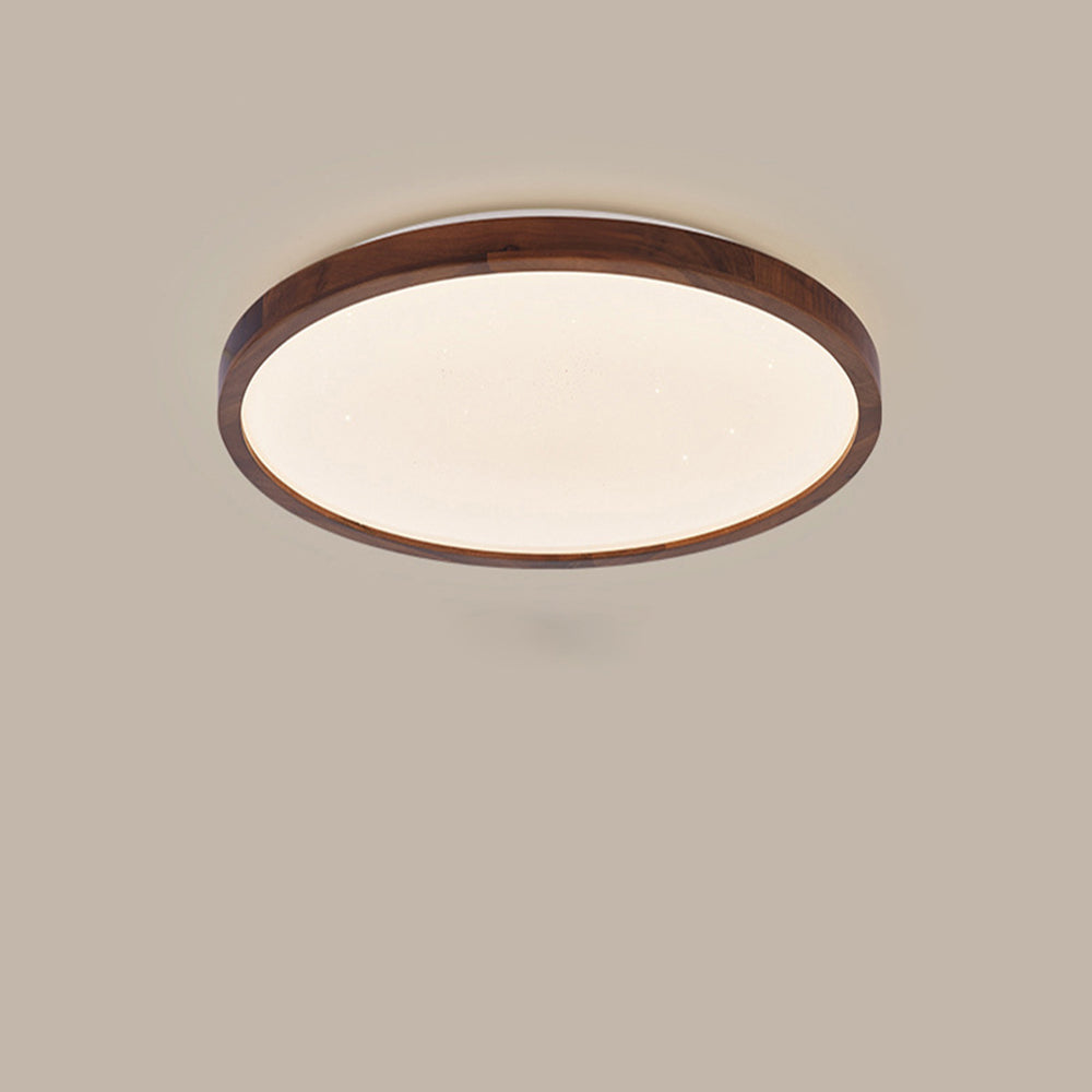 Tenzio Maanontwerp Plafondlamp