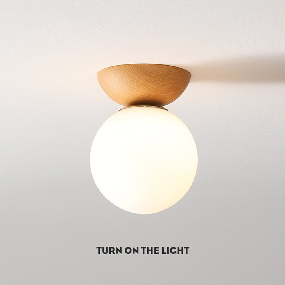 Pundo Plafondlamp