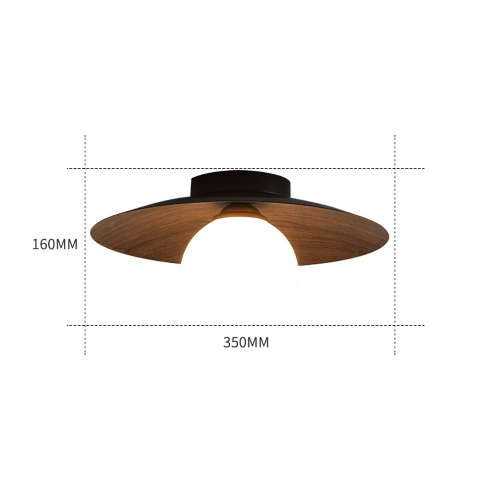 Entaro Plafondlamp