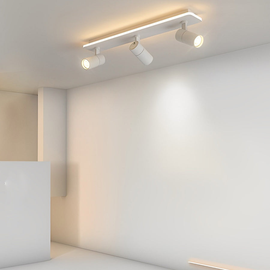 Triccon Plafondlamp