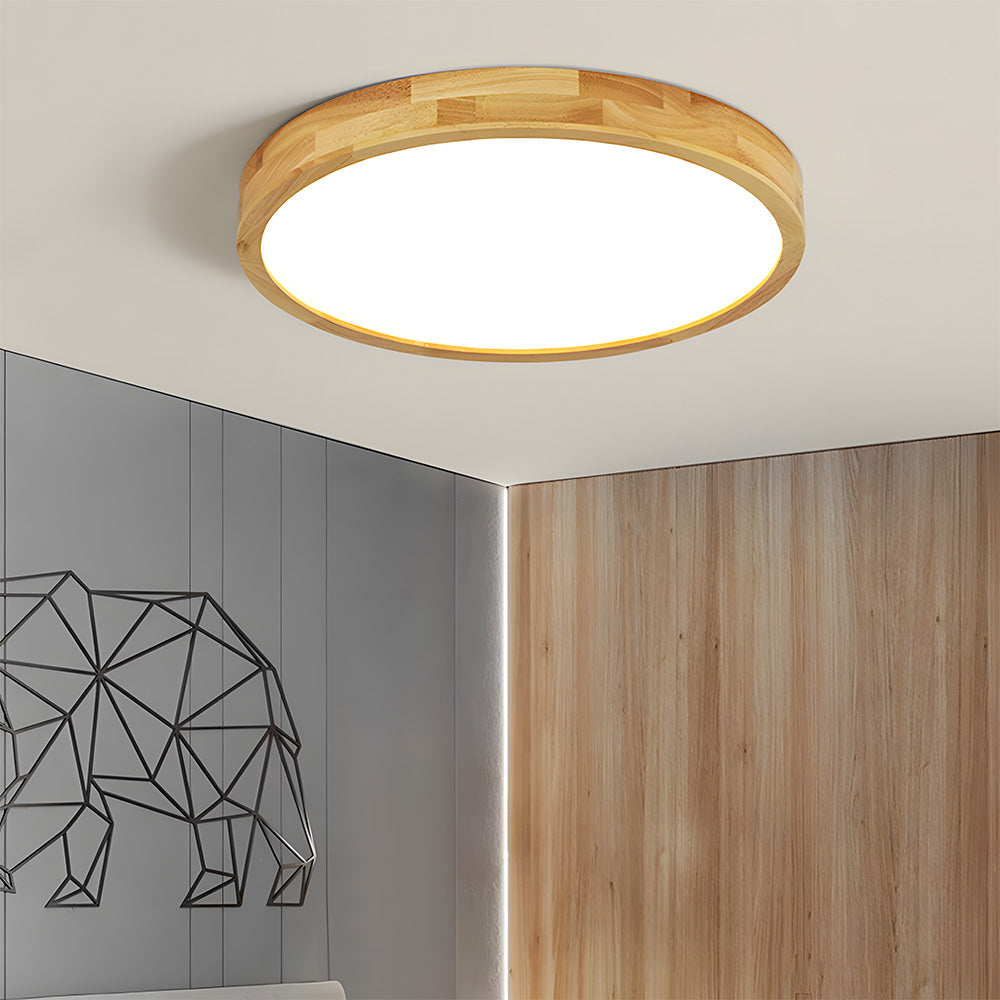 Erlivon Plafondlamp