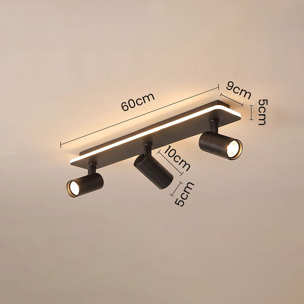 Triccon Plafondlamp