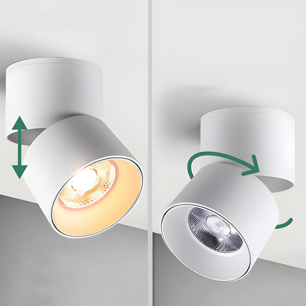 Velori Plafondlamp