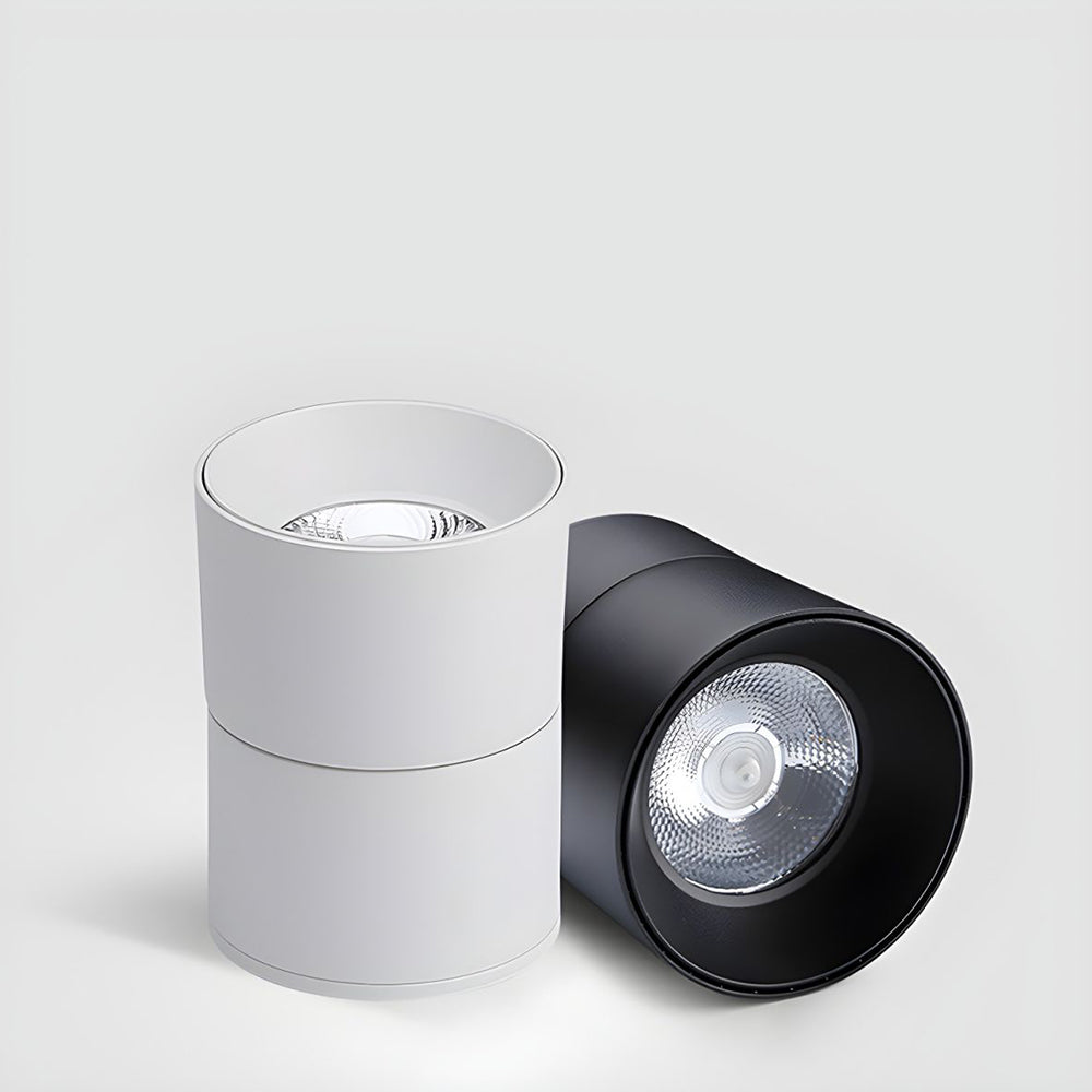 Velori Plafondlamp
