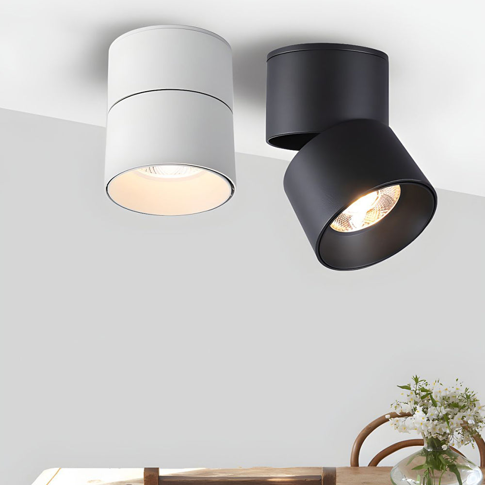 Velori Plafondlamp