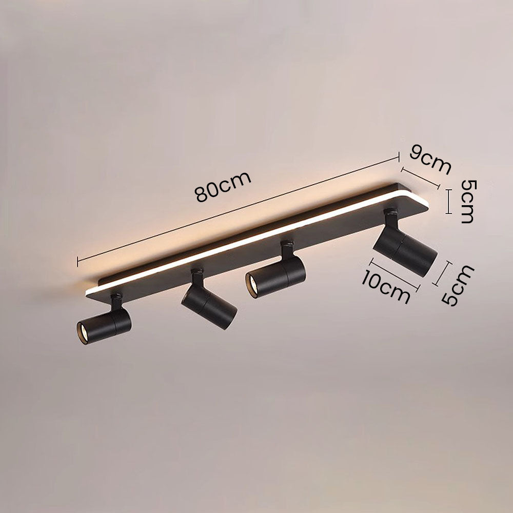 Triccon Plafondlamp