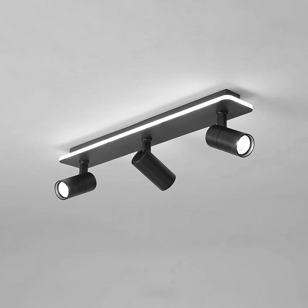 Triccon Plafondlamp