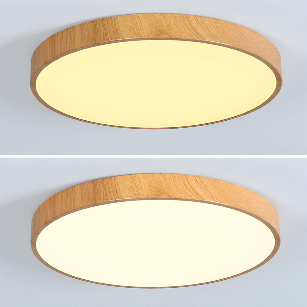 Concize Disc Plafondlamp