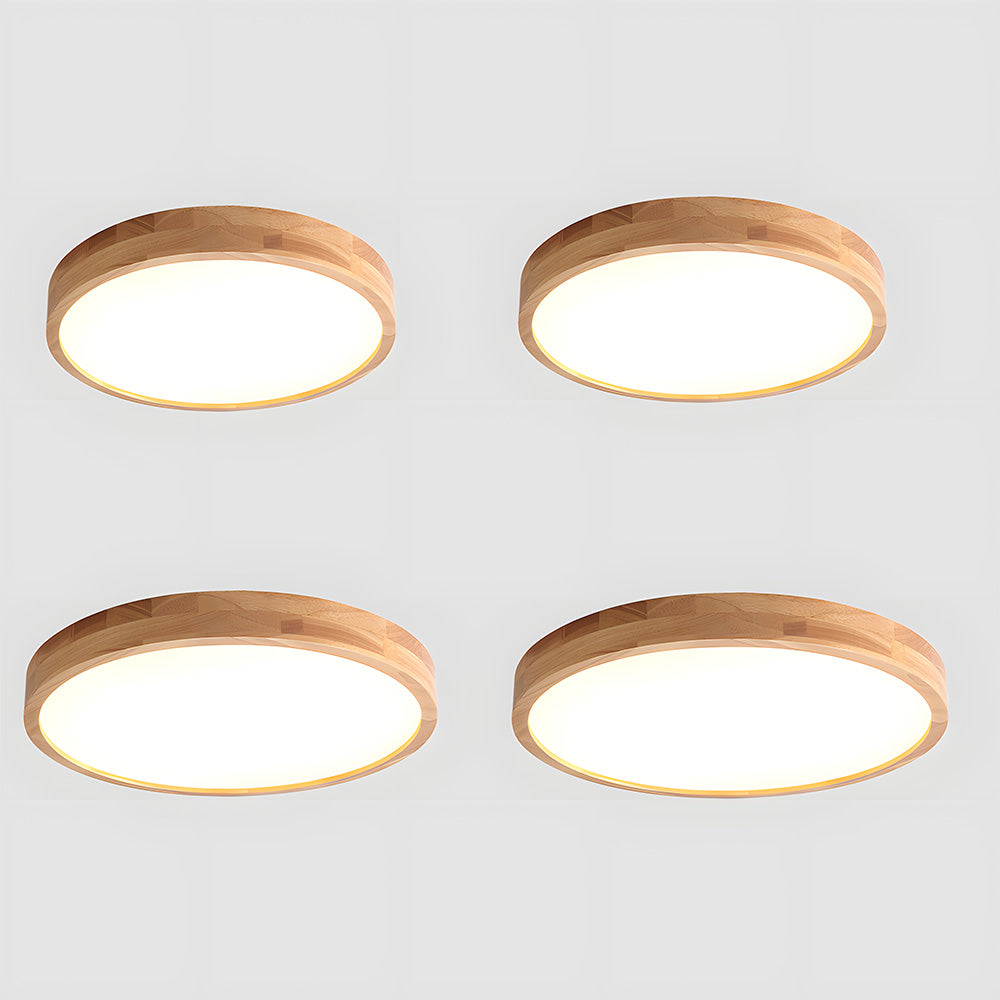 Erlivon Plafondlamp