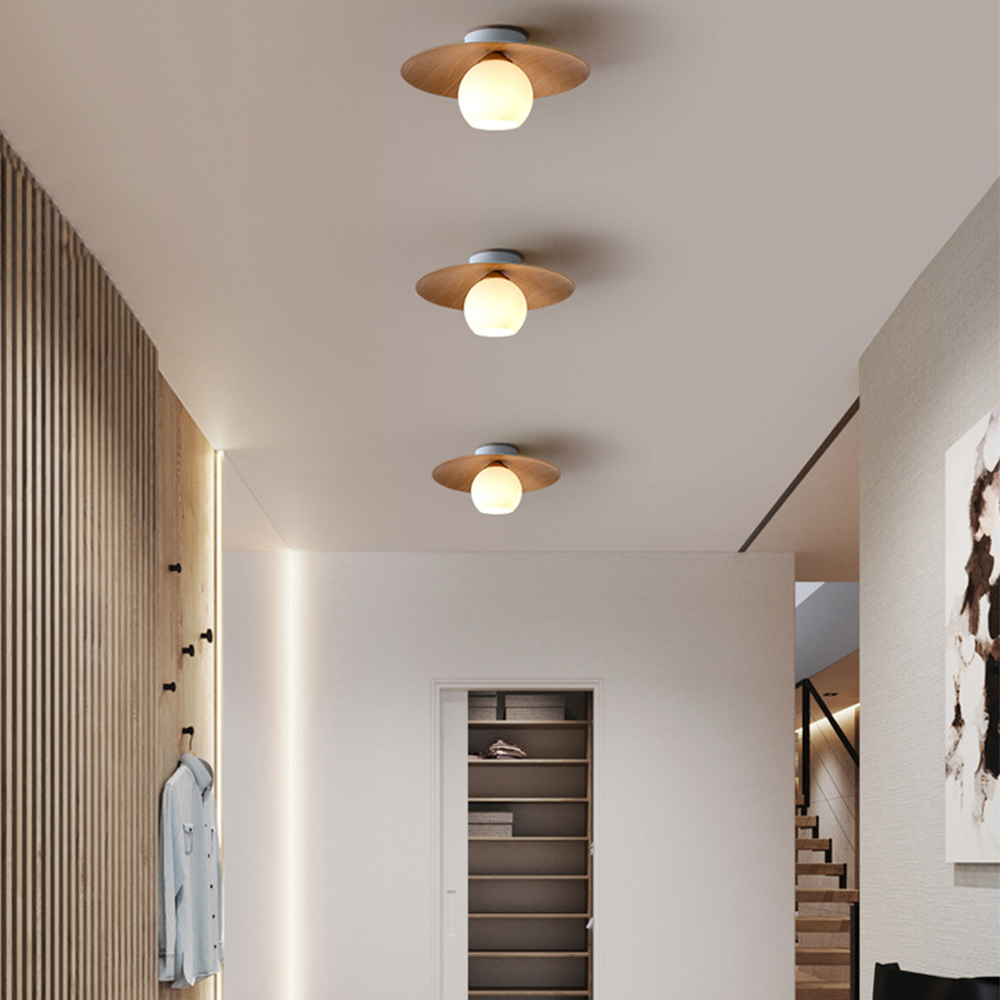 Entaro Plafondlamp