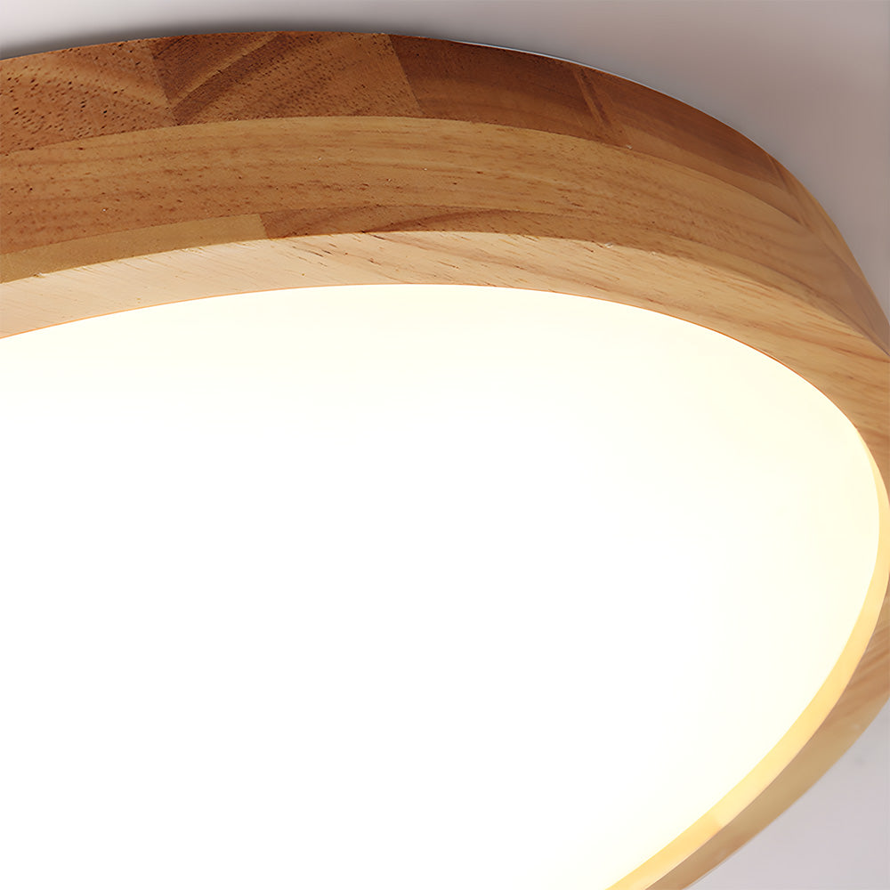 Erlivon Plafondlamp