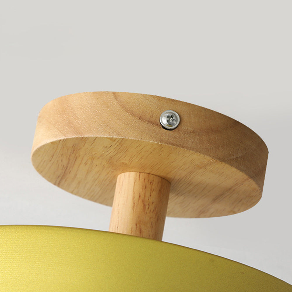 Pedol Plafondlamp