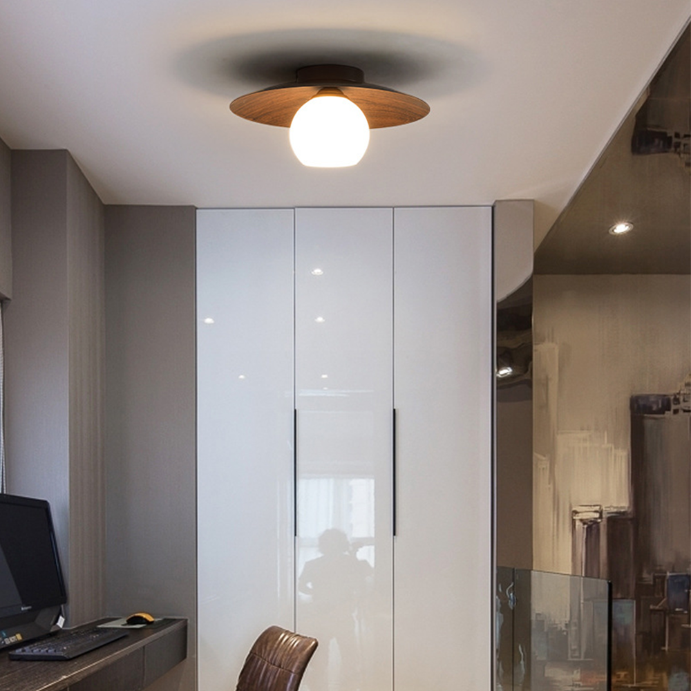Entaro Plafondlamp