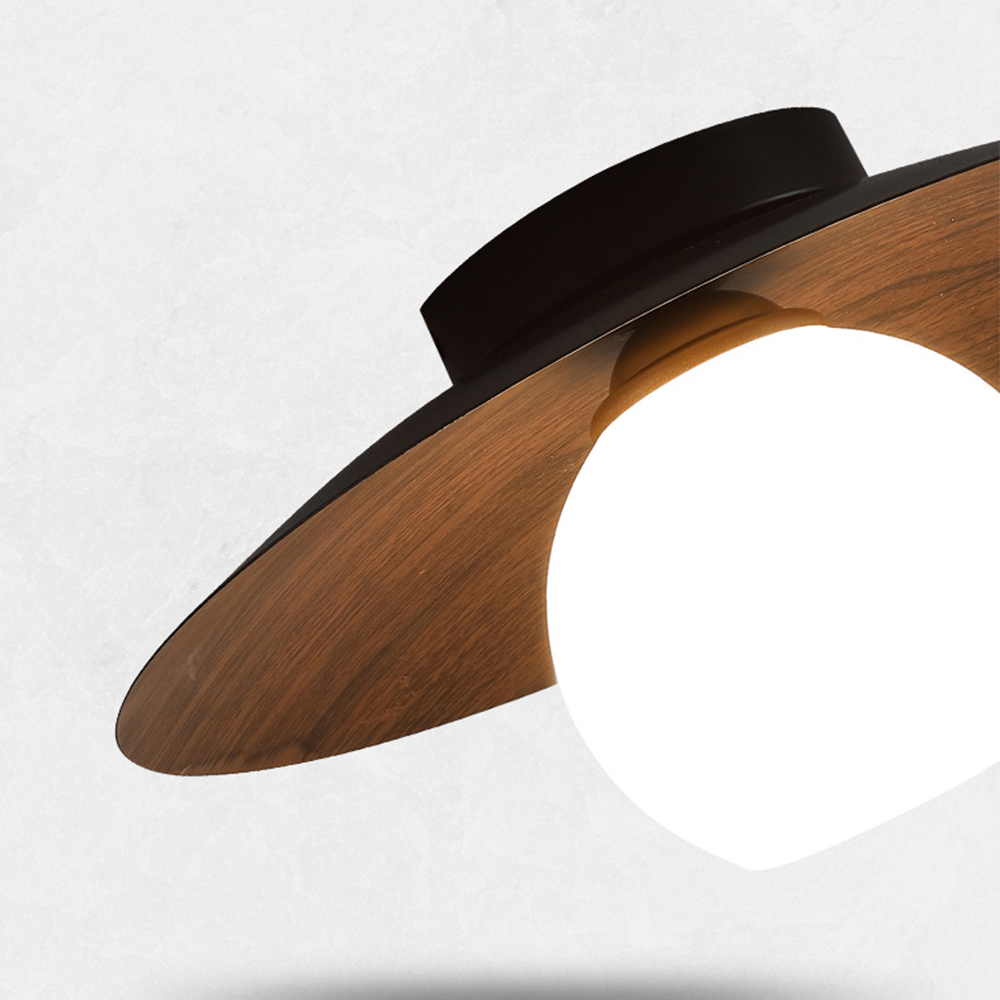 Entaro Plafondlamp