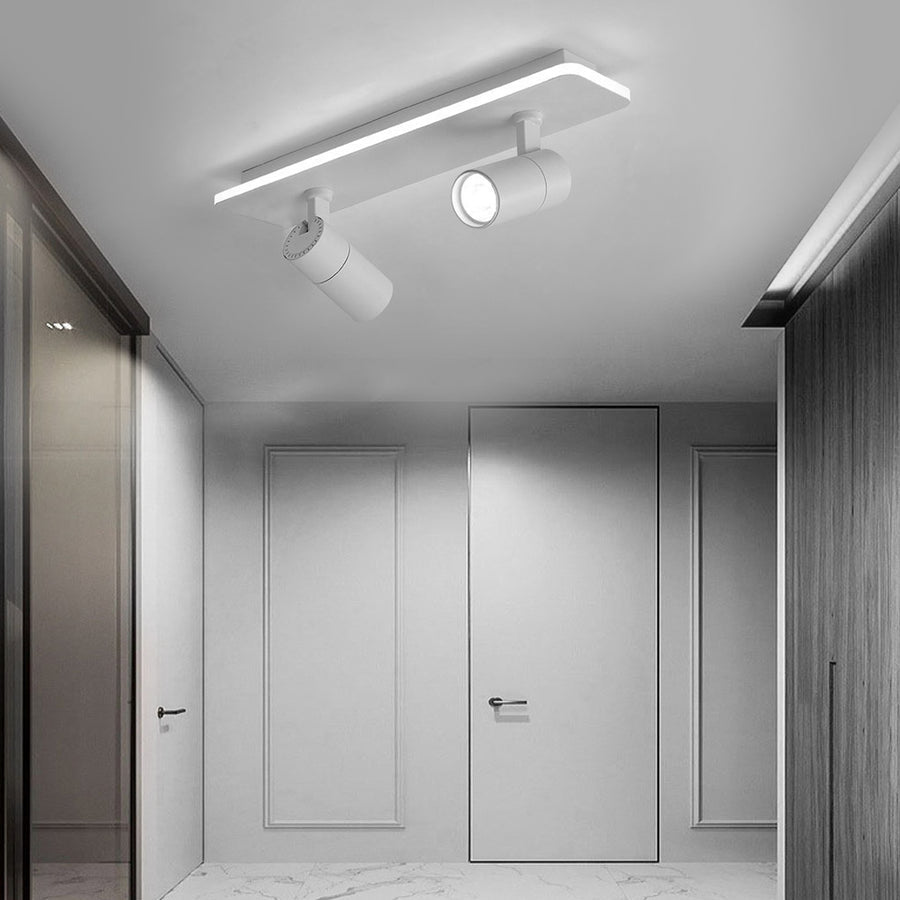 Triccon Plafondlamp