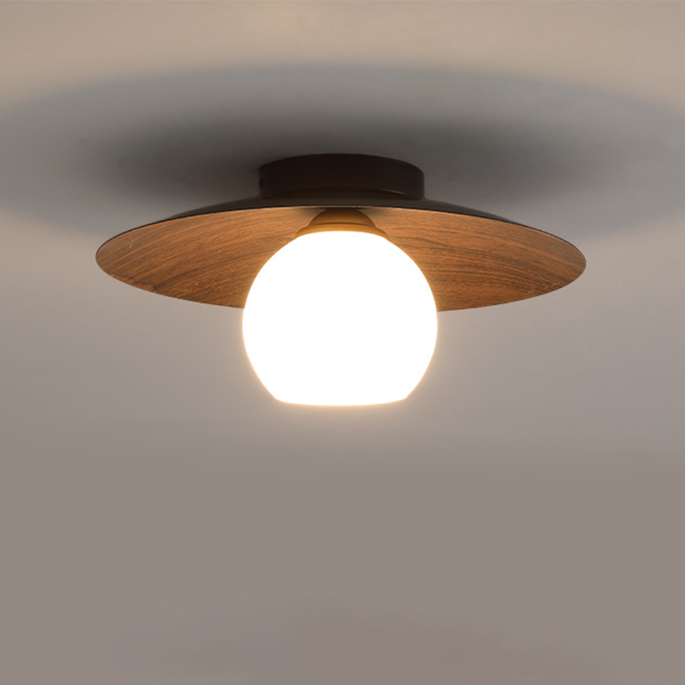 Entaro Plafondlamp